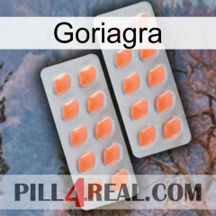 Goriagra 27